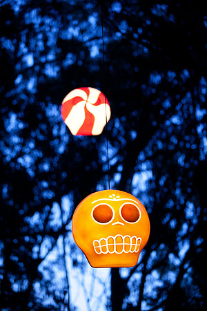 Outside Lands Music Festival 2011