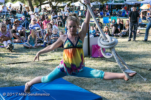 Redwood_Mtn_Faire_2017-3080
