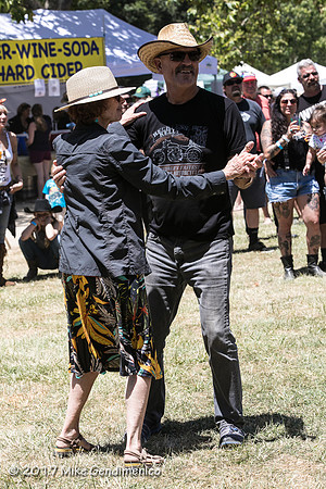 Redwood_Mtn_Faire_2017-1554