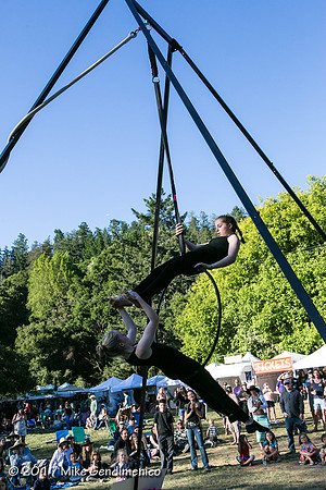 Redwood_Mtn_Faire_2017-3303